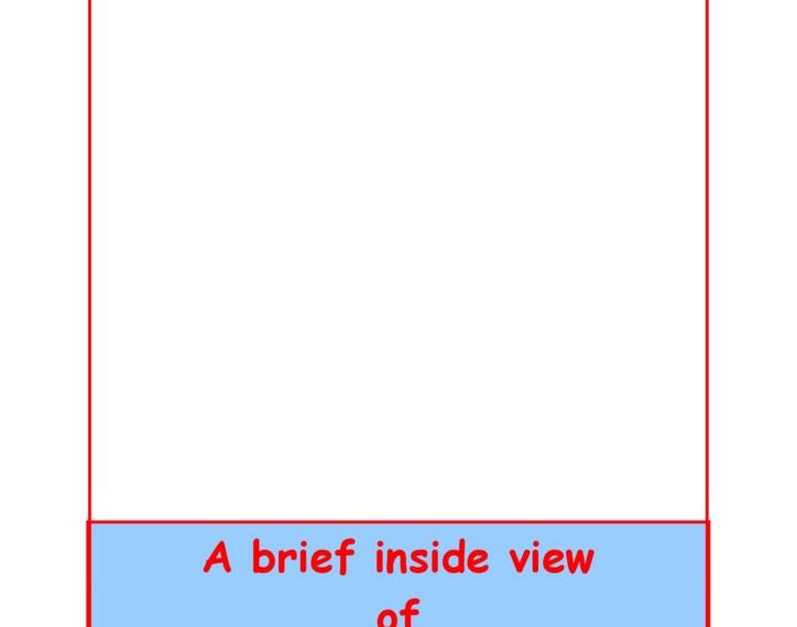 thumbnail of Exhibition Book