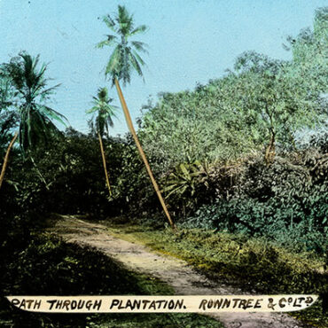 British National Temperance League (2017) History of Cocoa Rowntree & Co. Ltd : Path Through Plantation. 