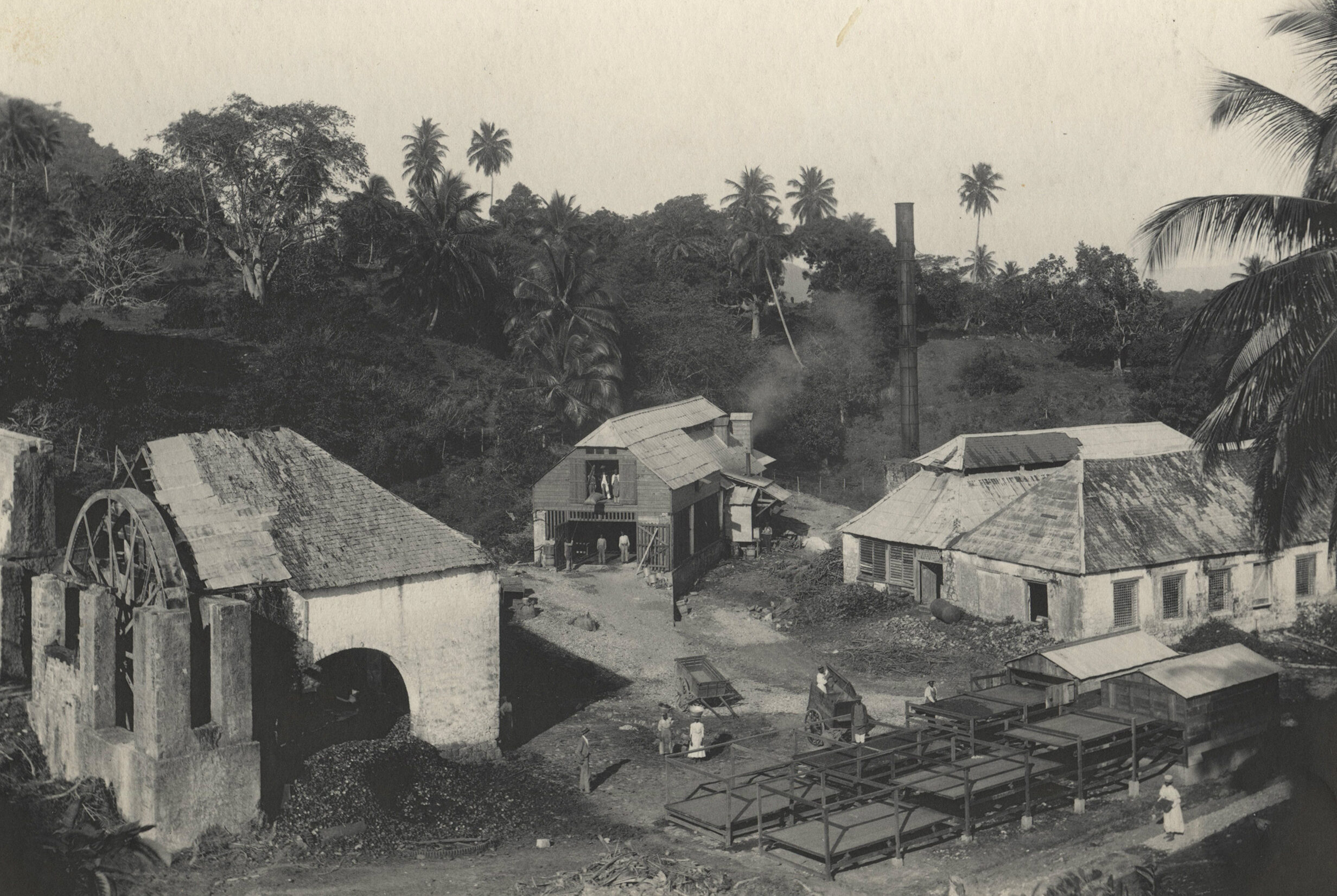 Rowntrees estates in Jamaica