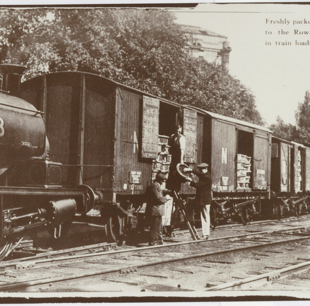 Transport workers at the Cocoa Works unloading fruit in 1920