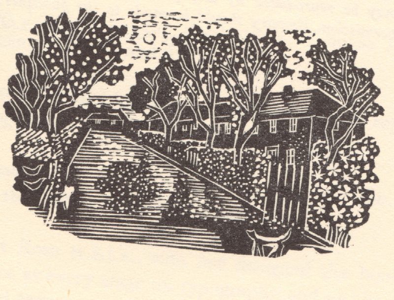 illustration